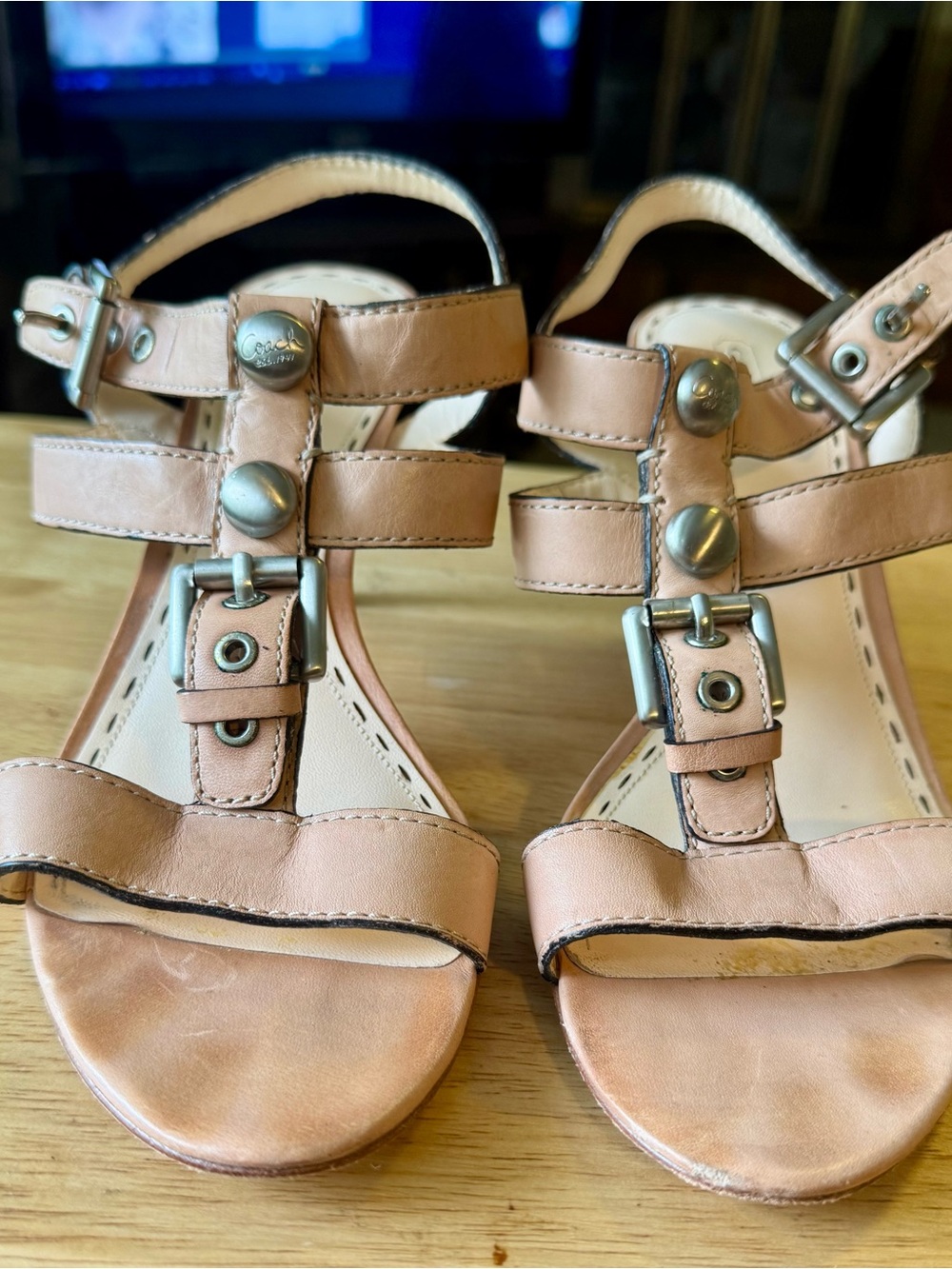 Coach Blush Leather Strappy Sandals with Gold-Tone Accents